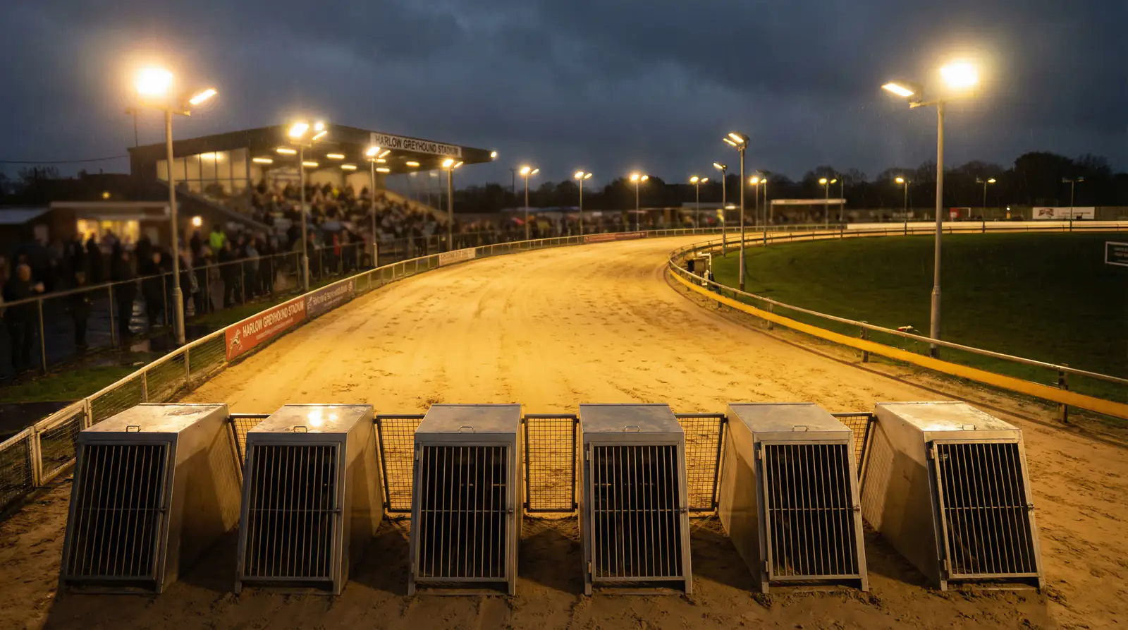 Harlow greyhound stadium on race night with floodlit oval track and starting traps