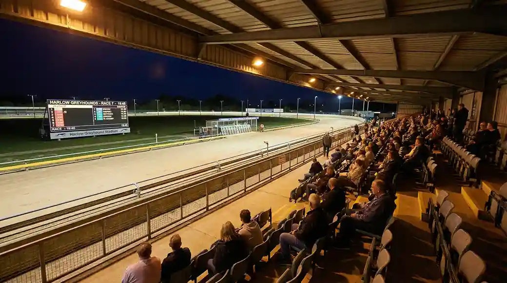 Panoramic view of Harlow greyhound stadium oval track from the grandstand